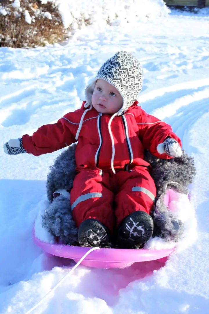 Babyschlitten zum Nachziehen, action shot STIGA Baby Cruiser